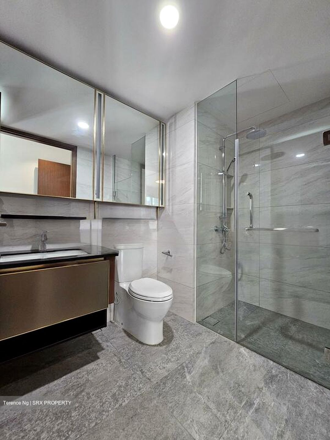 Normanton Park (D5), Apartment #483411141